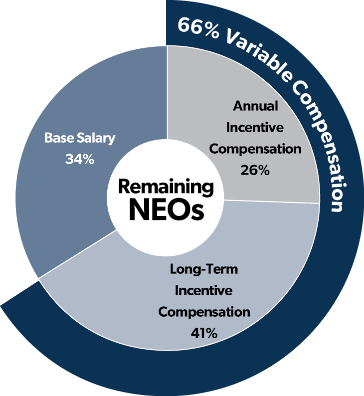 Remaining NEOs Total Comp Pie Chart.jpg